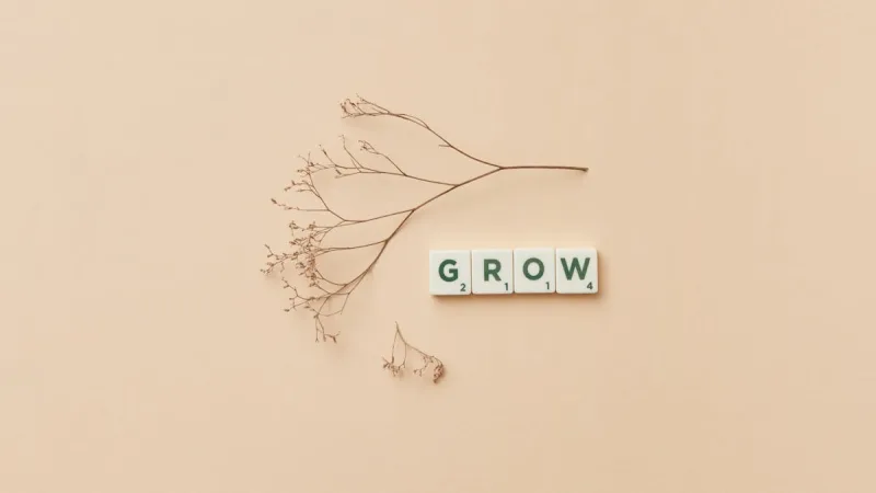 Como Comparar Seguros Online: Ferramentas e Criterios - Protecao Digital: Seguros para a Era Online