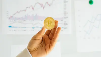 Como Funciona o Mercado de Seguros no Brasil: Visao Completa