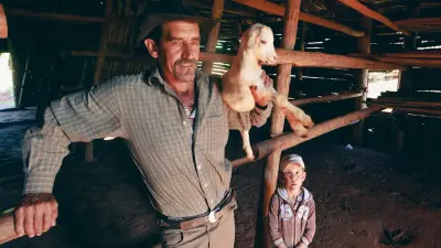 PROAGRO: Como Funciona o Seguro Agricola do Governo Federal