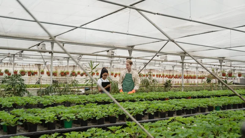 Seguro de Maquinas Agricolas: Tratores, Colheitadeiras e Mais - Principais Riscos Cobertos pelo Seguro Agricola