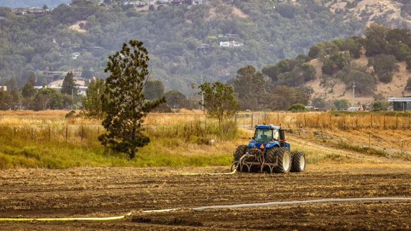 Seguro de Producao Agropecuaria: Garanta Sua Receita - Subvencao Federal: Como Pagar Ate 45% Menos no Seguro Rural
