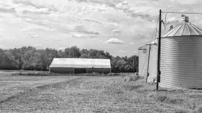 Seguro de Producao Agropecuaria: Garanta Sua Receita