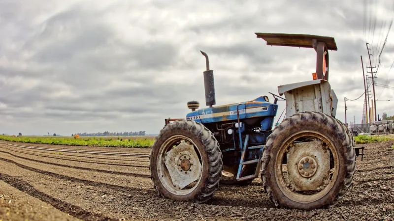 Seguro Safra: Protecao para a Agricultura Familiar no Semiarido - Como Acionar o Seguro Agricola: Passo a Passo