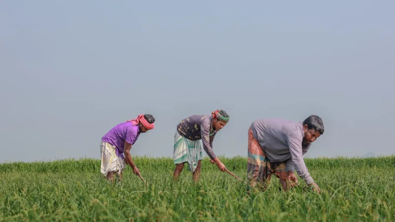 Seguros para o Agronegocio Brasileiro: Guia Completo 2026 - Seguro Agricola no Brasil: Como Funciona e Quanto Custa