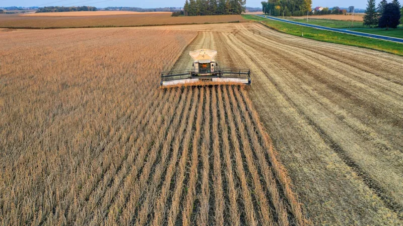 Subvencao Federal ao Seguro Rural: Como Obter Desconto do Governo - Principais Riscos Cobertos pelo Seguro Agricola