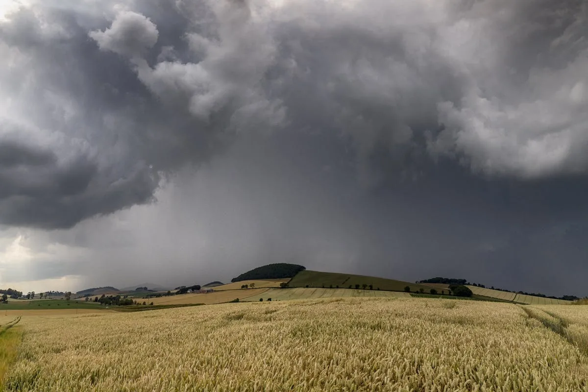 PROAGRO - numeros e resultados