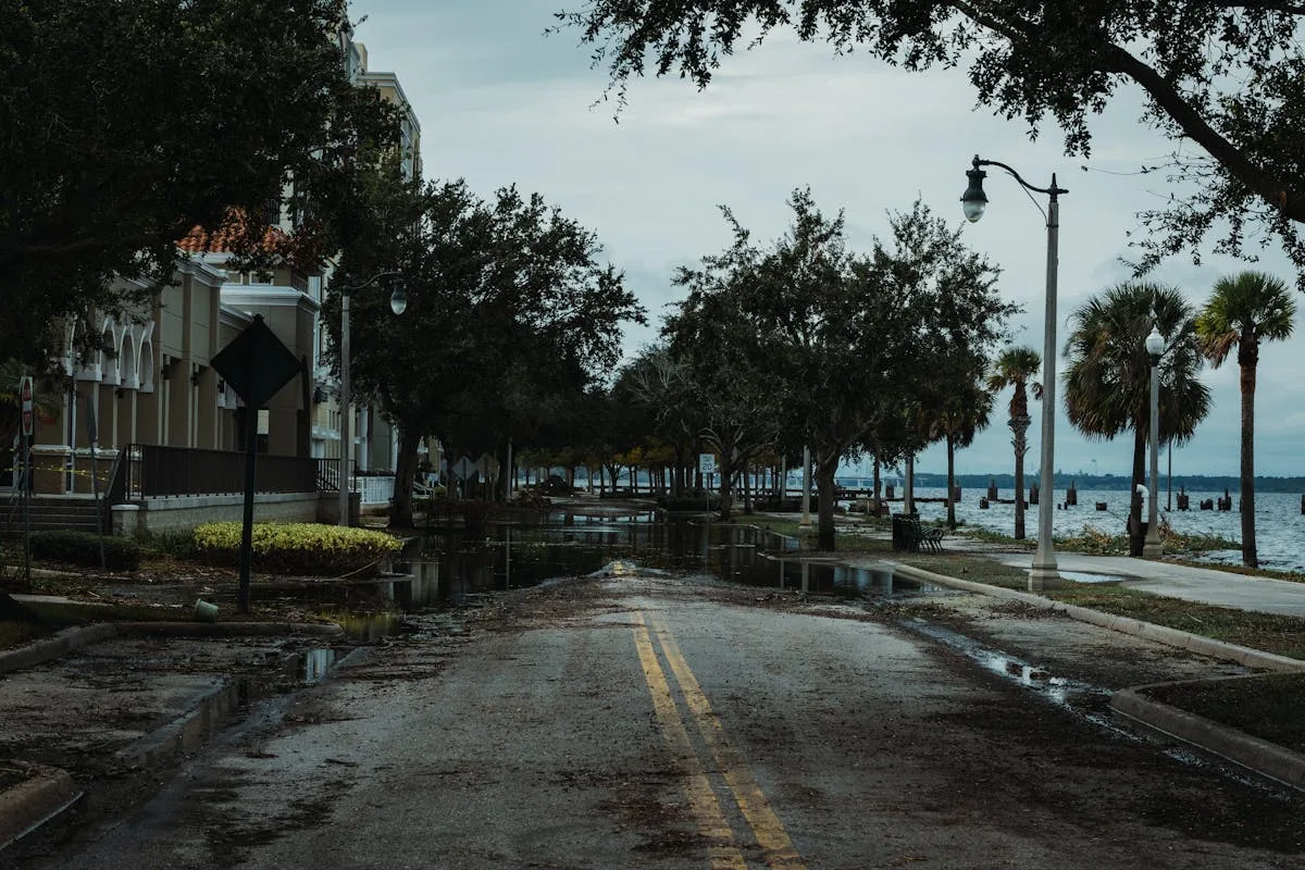 Depoimento sobre Seguro Contra Perda de Faturamento
