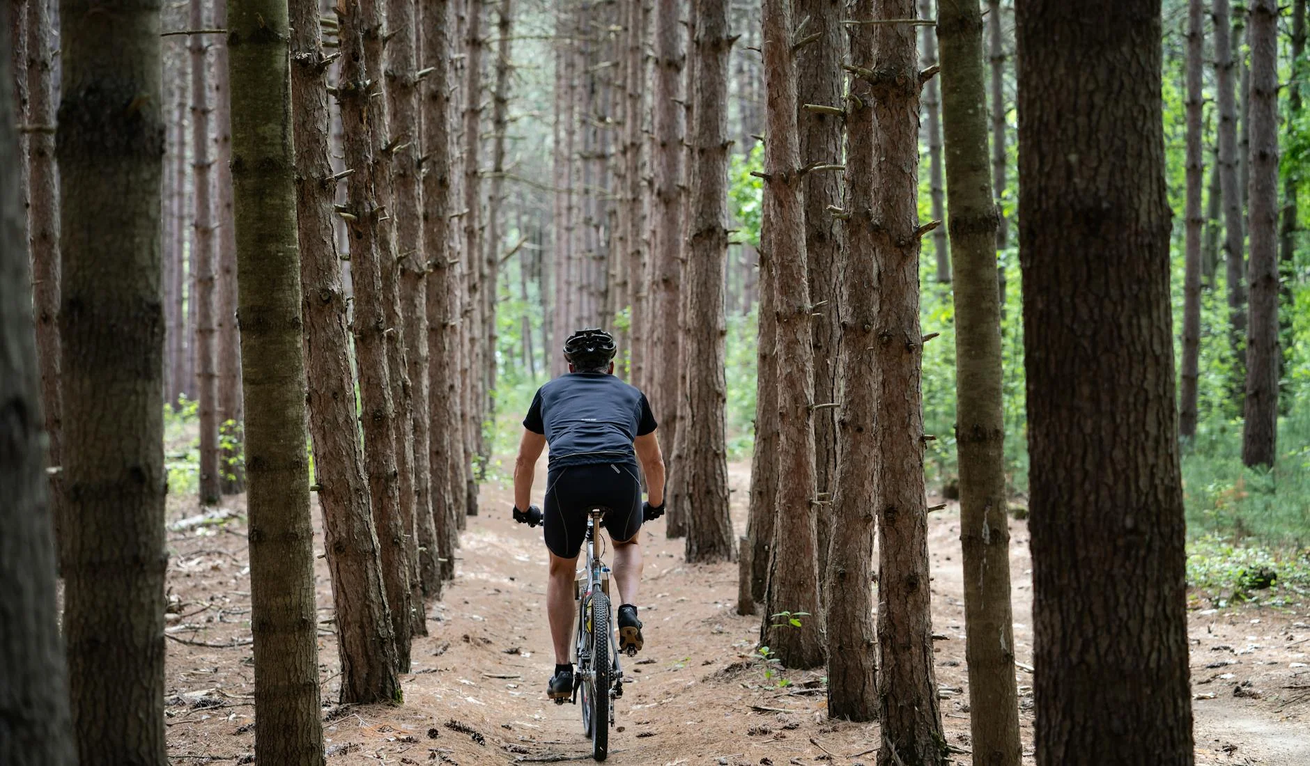 Seguro para escalada