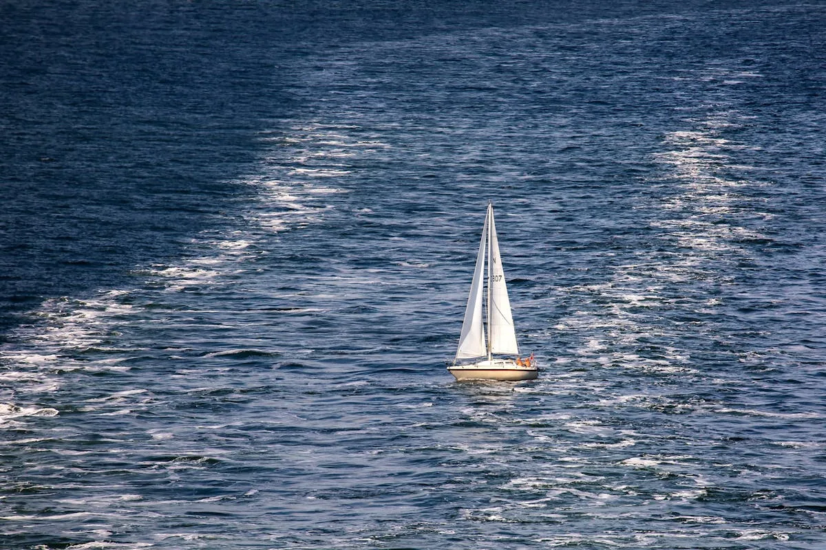 Seguro de lancha - numeros e resultados